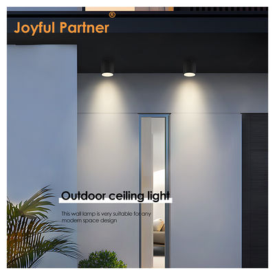 スポットガーデンLED 天井ライト 表面マウント 円筒型 アルミニウム 220V 8W 3000K ホワイト