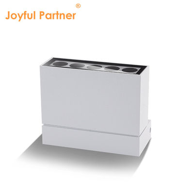 上下照明 現代のLED 壁掛け 庭庭灯 10W 黒白 住宅 カラー 防水 IP65