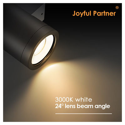 上下外壁にマウントされた挤出型アルミ合金 3000-6000K 18W 24W 外壁ランプ コブ LED 黒のハウジング色